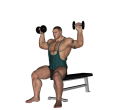 Shoulder Press - Seated Dublin